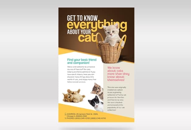 Business-Promotional-Flyers