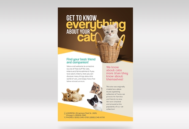 Business Promotional Flyers